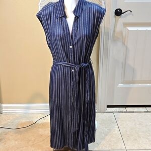 Ann Taylor Factory Denim blue striped Dress